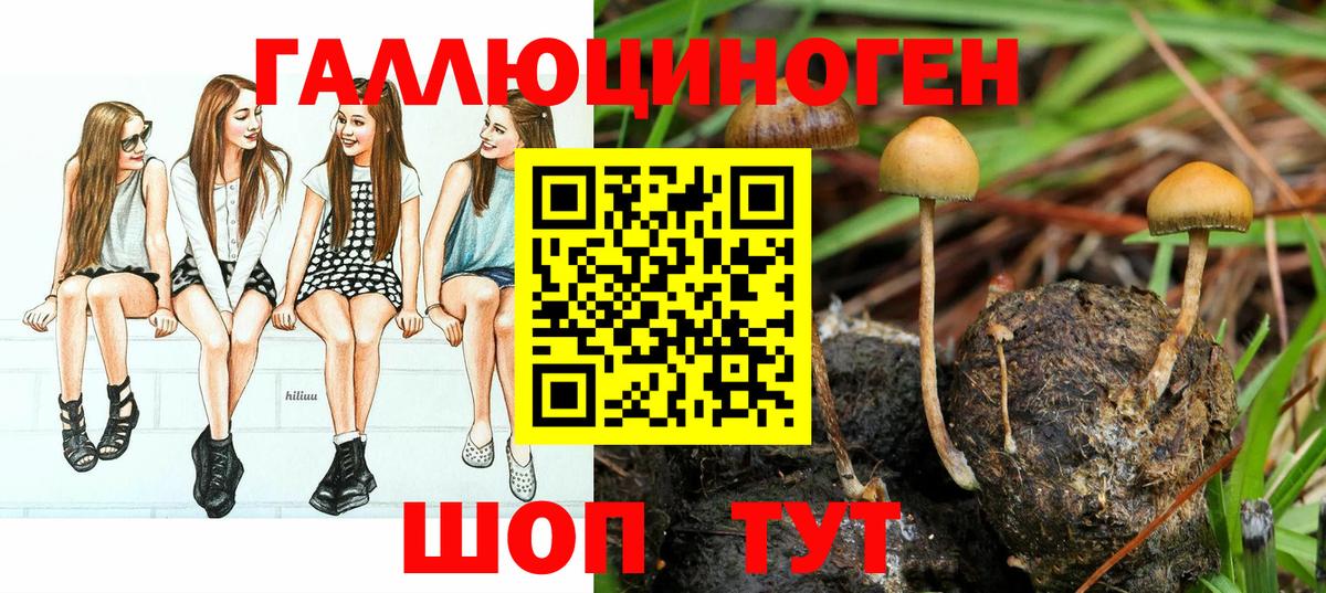 Псилоцибиновые грибы мухоморы  Вход с VPN  Удомля 